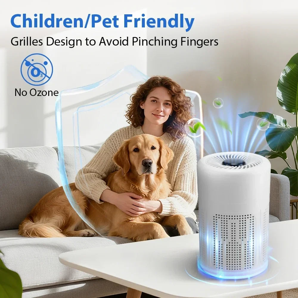 HEPA Air Purifier Smoke Odor