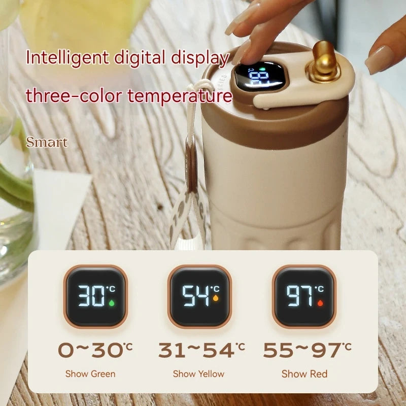 450ML LED Temperature Display Water Bottle